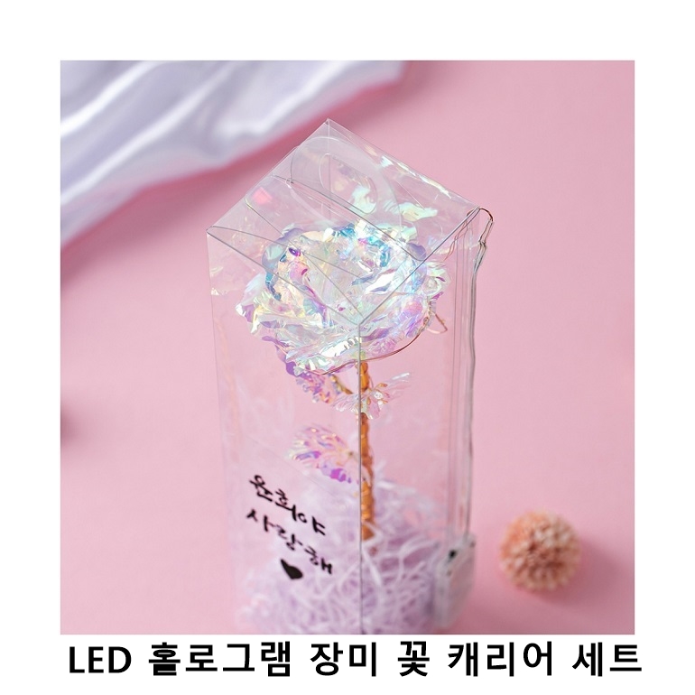 ��ũ�ص� LED Ȧ�α׷� ��� �� ĳ���� ��Ʈ, �����, �����, �����ǳ�