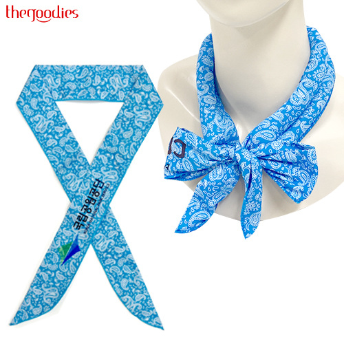 �Ƹ޹� ���̽� �� ��ī�� // ����